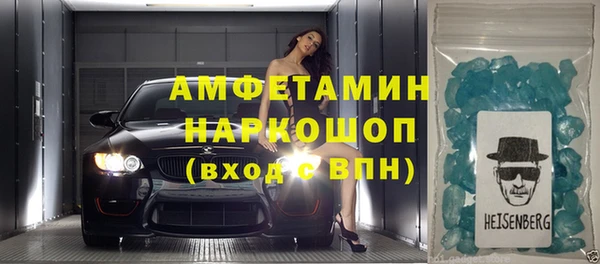 гашик Няндома