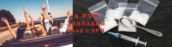 мяу мяу мука Абаза