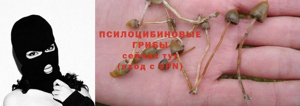 мяу мяу мука Абаза