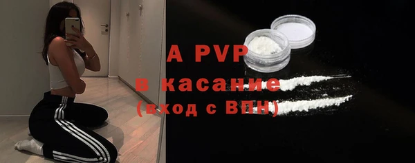 мяу мяу мука Абаза
