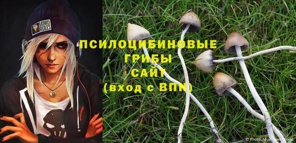 МДПВ Абдулино