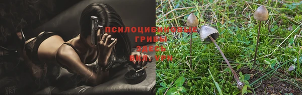 МДПВ Абдулино