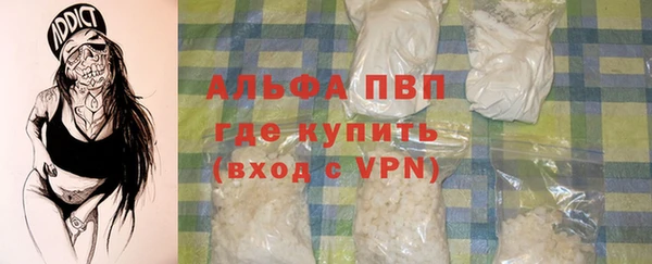 гашик Няндома