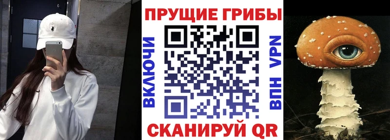 кракен   купить закладку  Бирюсинск  Галлюциногенные грибы Magic Shrooms 